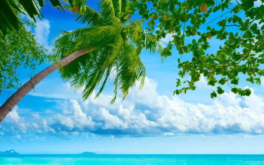 493337 (a): :2560x1600